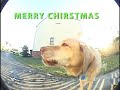 CHIRSTMAS MONTAGE