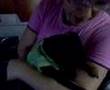 pincher com ciumes