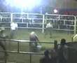 Kely Hidalgo vs Cocaino (Lesion)