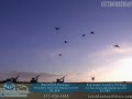 Ranchland Outfitters, Rob Reynolds guides Canada Goose, Duck
