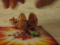 videos de My Brother's Bakugan