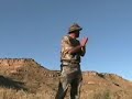Desert Bighorn Sheep