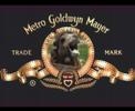 Metro Goldwyn Mayer Camel