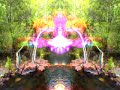 nwc-live-at-the-darkroom.html