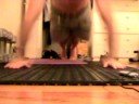 Legitimate Clap Pushups 2ndxpr 25x