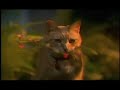 In the Jungle - K9 Advantix Commercial