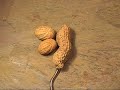 Peeing Peanuts! Concept and Animation by PES.