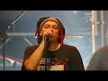 Armia - Misiowie Puszysci live