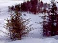 SnowHawk 600 Ho launch