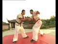 Shuaijiao technique by Master Wang Wenyong
