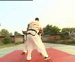 Shuaijiao technique by Master Wang Wenyong