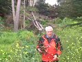 mike gravel   fire  