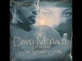 David Morales with Lea-Lorién - How Would U Feel David Morales with Lea-Lorién - How Would U Feel