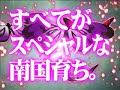 オリンピア