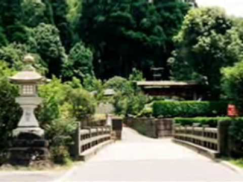 matsuri