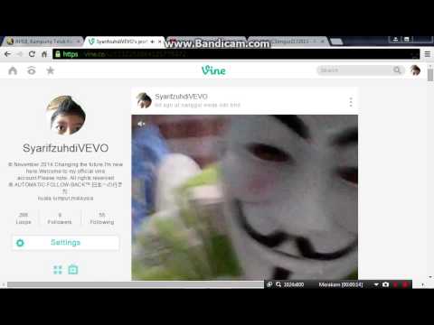 how to verified on vine