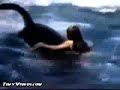 Ataque de Orcas