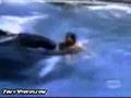 Ataque de Orcas
