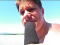 walter-wild.html