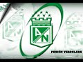 jejeje ps aqui les va el himno de mi verde