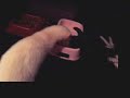 Ferreting about