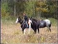 Click here to watch this video 