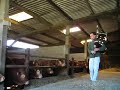 bagpipe cornemuse irish