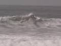 log-malibu.html