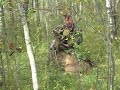 Bowshots on Deer - Concept Archery 99% Let-Off Bows Bowshots on Deer - Concept Archery 99% Let-Off Bows
