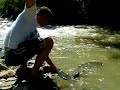 siluro bocal segunda club de pesca glanis tarazona siluro bocal segunda club de pesca glanis tarazona