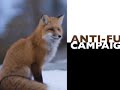 Mercy For Animals - 2006 Year in Review