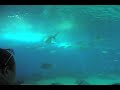 Underwater tunnel