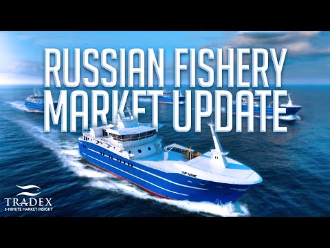 3MMI - Russian Market Update; Salmon Demand Higher, Inventories Presold, Upward Price Trend