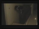 El-Gom3a El-13 Trailer
