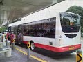 SMRT & SBS Transit bus photos year-end collection SMRT & SBS Transit bus photos year-end collection