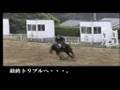 名手列伝　脇村選手＆ミスタールドルフ　～皇帝シンボリルドルフの血を受け継いで～