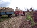 steyr 768 steyr 768