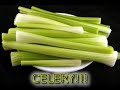 Celery Spoof Song - Amy Winehouse Mark Ronson Zutons Valerie