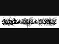 Dreamnation- Muskulös Mygga Dreamnation- Muskulös Mygga