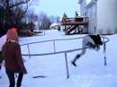 Snow Day