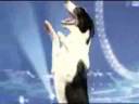 Caninefreestyle.wmv