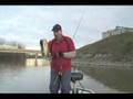 Crankbait Bassn'