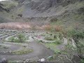 Sibley Labyrinth - Frog Sounds - Newts Sibley Labyrinth - Frog Sounds - Newts