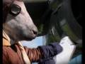 Cows 'n Things from Help the Aged