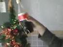 Coke Comercial