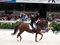 FEI European Championships Juniors & Young Riders Dressage