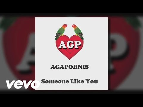 Someone Like You Agapornis