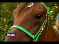 1x05 Assisi Endurance Lifestyle 2007