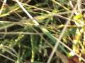 videos de 20081104180329.mpg