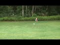 GAUI Hurricane EP 200 Crazy 3D Power GAUI Hurricane EP 200 Crazy 3D Power